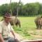 Botswana-Safari
