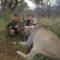 HUNTING