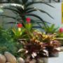 Outside Flowers