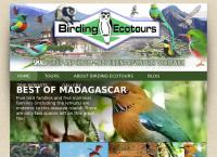 The Birding Ecotours
