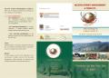 Tourism - Tour Operators - Tour Agents.