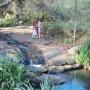 Macnut Farm wedding