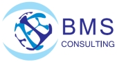 BMS Consulting
