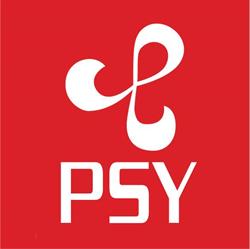 P S Y Systems Cc