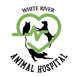 White River Animal Hospital