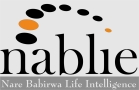 Nablie Accountants