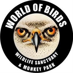 World of Birds