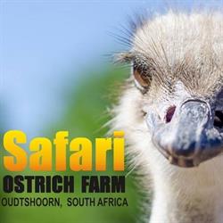 Safari Ostrich Show Farm