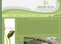 Plant Culture Tree Nursery's website