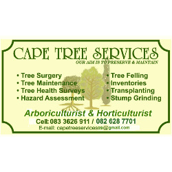 Cape Tree Services