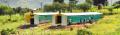 Chicken Houses