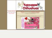 Yupyupper Chihuahuas