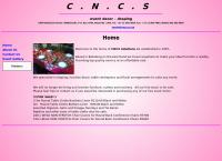 C North Computer Services