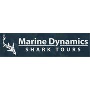 Marine Dynamics Shark Tours (Pty) Ltd