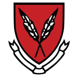 Institute For The Advancement Of Journalism