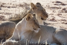 South Africa