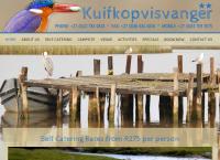 Kuifkopvisvanger