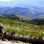 Hiking