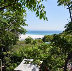 Monkey Valley Beach Nature Resort