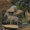 Klipspringer