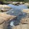 one of the streams