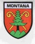 Montana Mountain Retreat