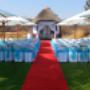 Garden Wedding