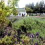 Reeds Country Lodge