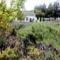 Reeds-Country-Lodge