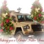 Festive Season Greetings!