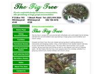 The Fig Tree