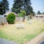 Back Garden