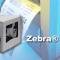 Zebra S4M Barcode / Label Printer