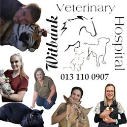 Witbank Veterinary Hospital