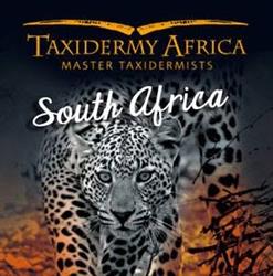 Taxidermy Africa