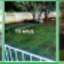 It is easy to have a new lawn