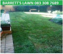 Barrett's Instant Lawn