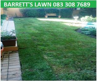 Starting-your-new-Lawn