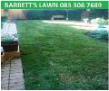 TO HAVE A LAWN (KIKUYU) LIKE SPORTS FIELDS.