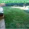 Starting-your-new-Lawn