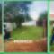 From-bare-to-a-new-Lawn