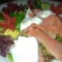 Uploaded by visitor on 2016/12/29 - Salmon Rosti