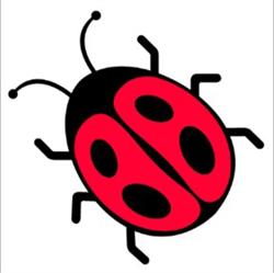 Ladybird Landscapes Durban