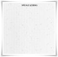 PVC Ceiling Board – Speckle