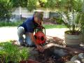 Blocked Drain cleared by Drips-and-Drains, Your Durbanville Plumber