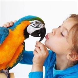 Birds & Pets For Africa