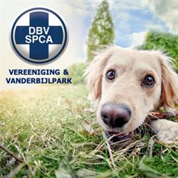 Vereeniging & Vanderbijlpark SPCA