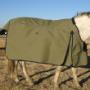 Contour Cut Horse Blanket