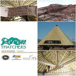 Recon Pools and Thatchers