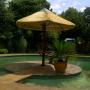 Thatch Umbrellas